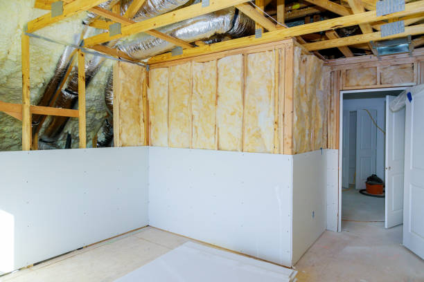 Best Insulation for New Construction  in Peoria Heights, IL